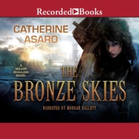 The Bronze Skies